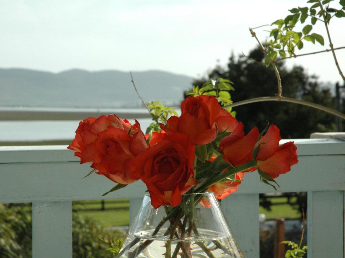 Lagoona Inn Knysna Eksteriør billede